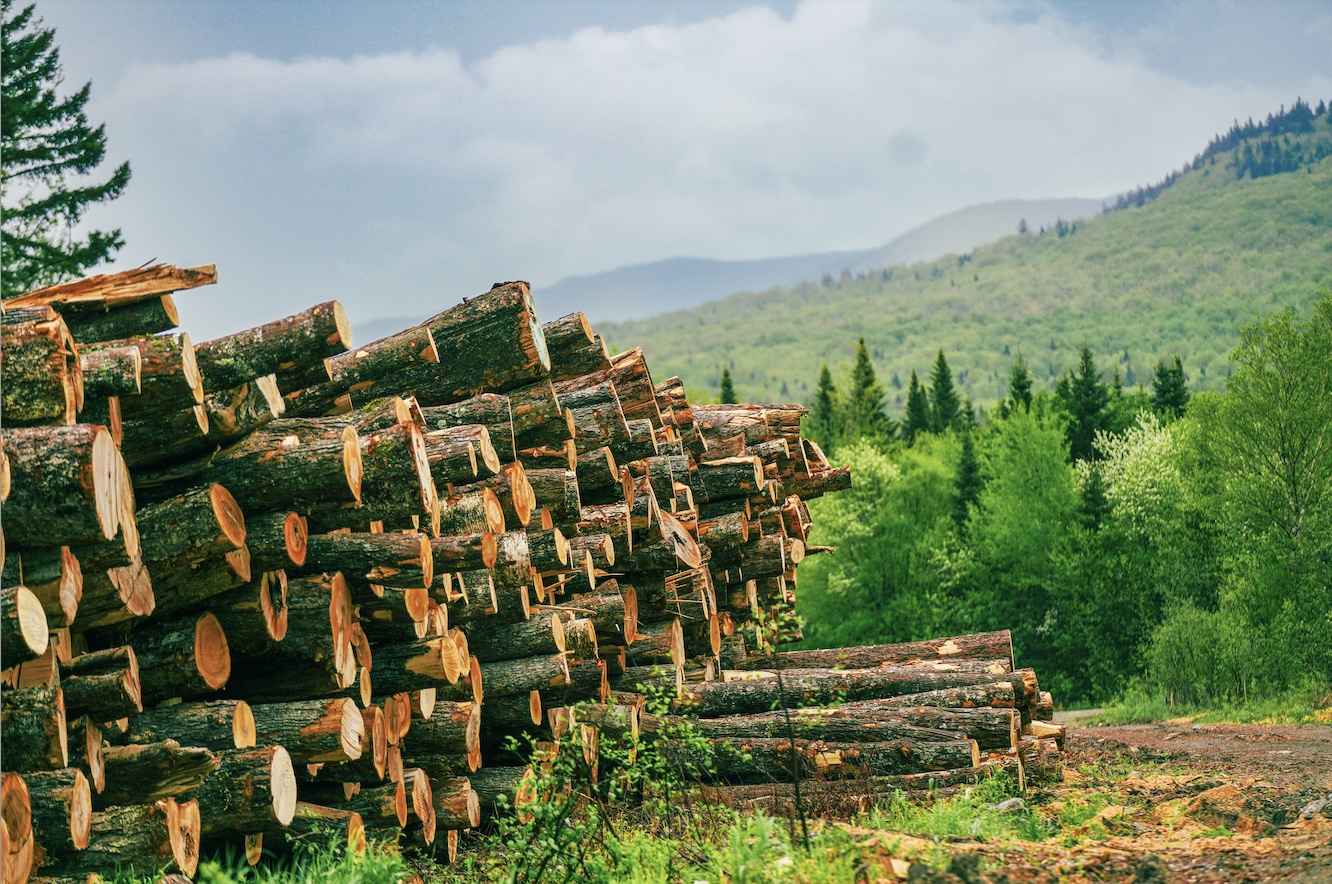 Will Canadian Tariffs Destroy US Housing?