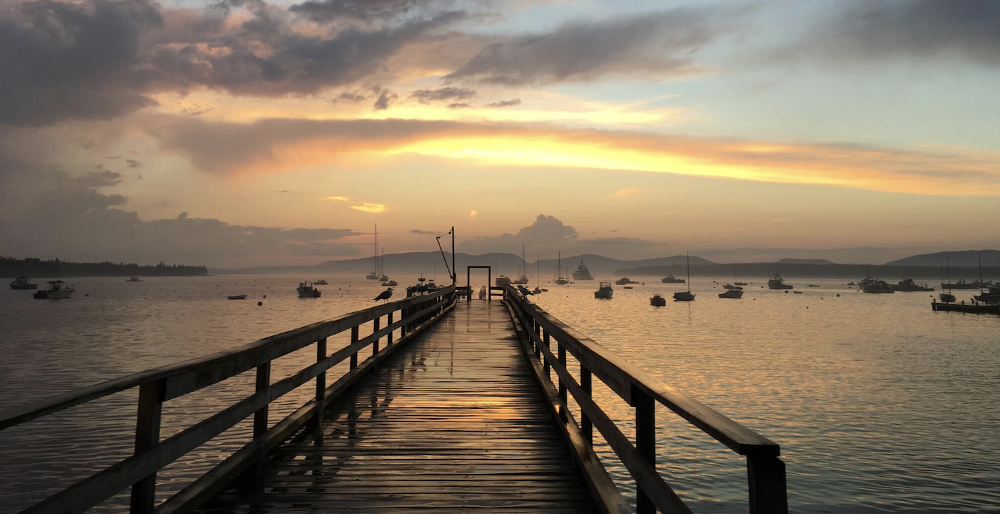 Docks of Distinction