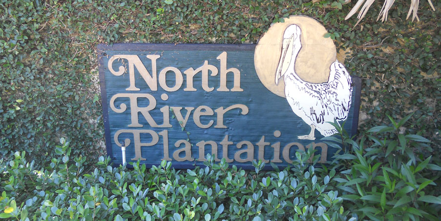 Community Area
