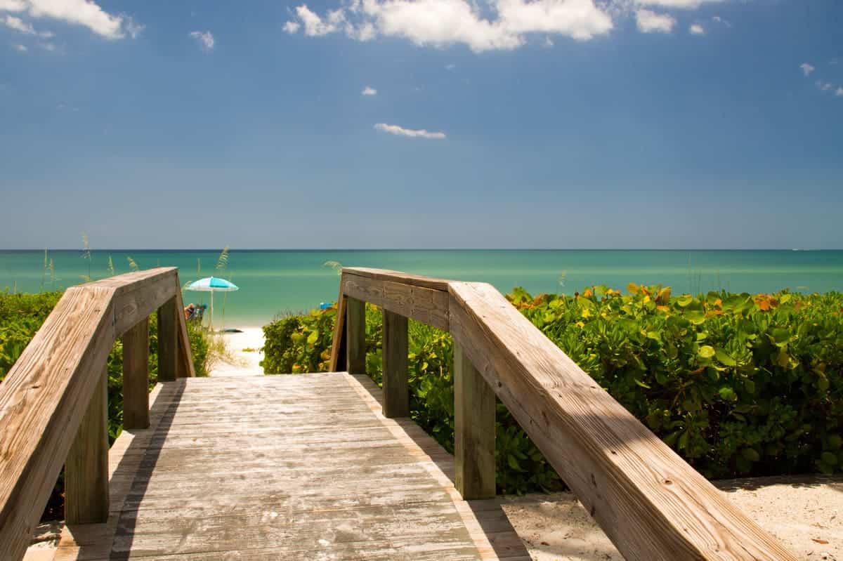 Ocean shore