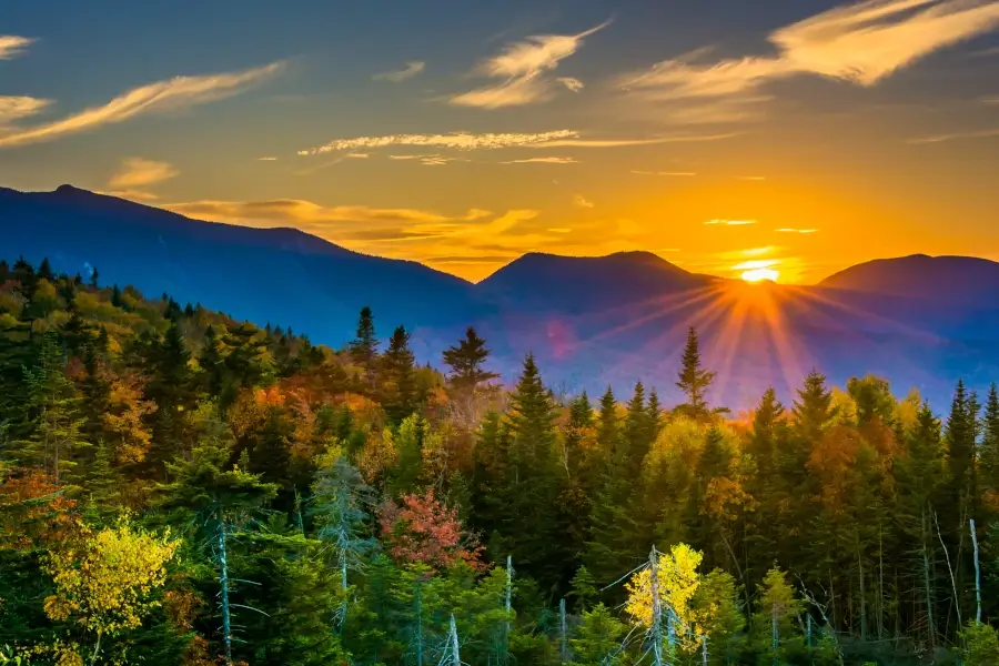 Amherst