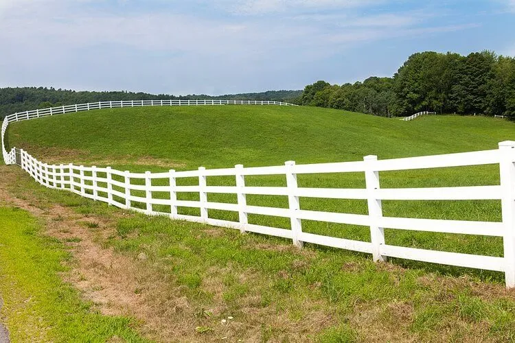 white fence