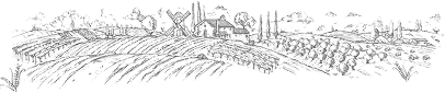 Decorative Image