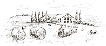 Decorative Image