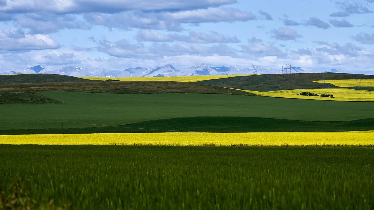 Farms for sale