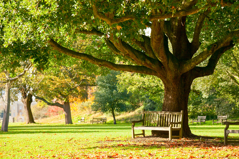 Green Park