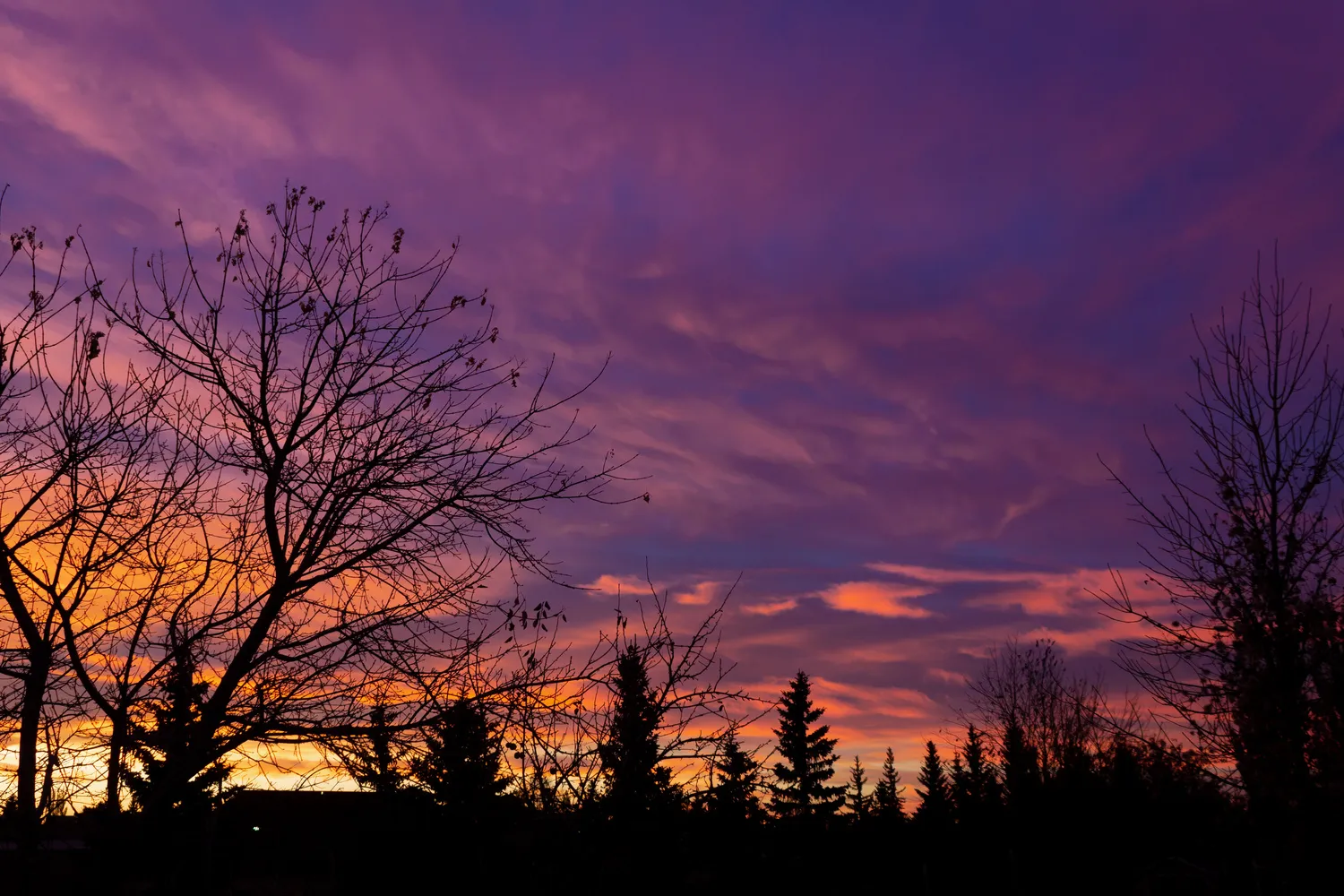 Real Estate Centre | Farm