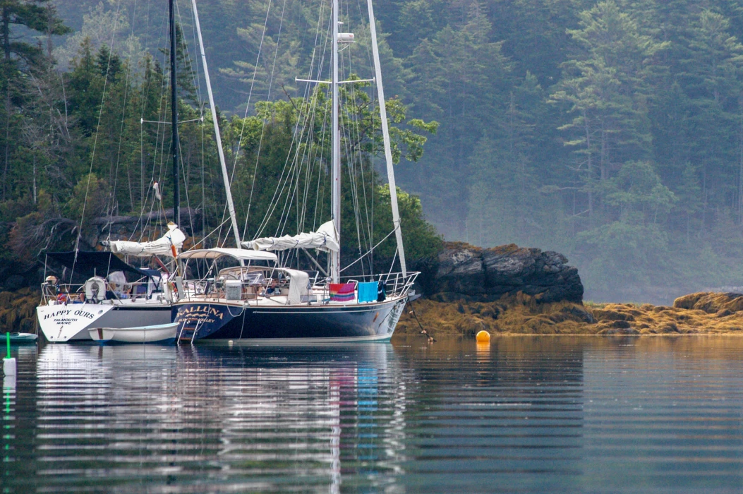 woman is working on the laptop