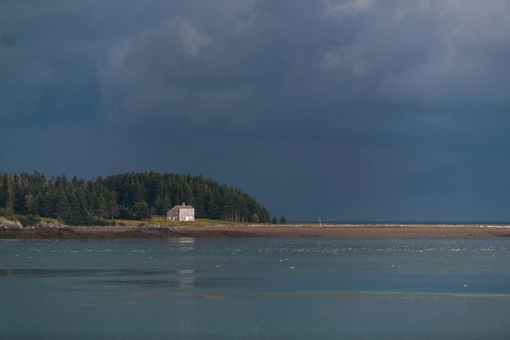 woman is working on the laptop