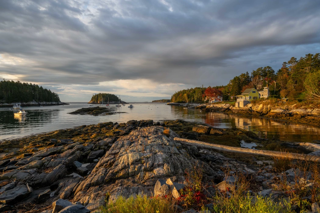 woman is working on the laptop