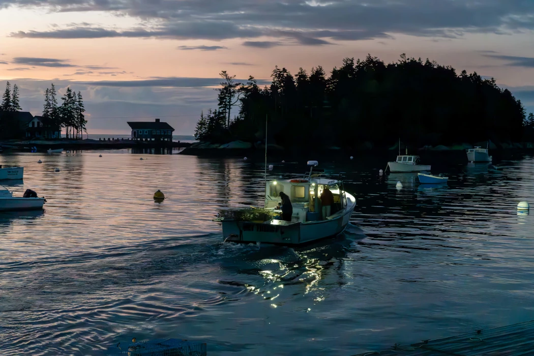 woman is working on the laptop