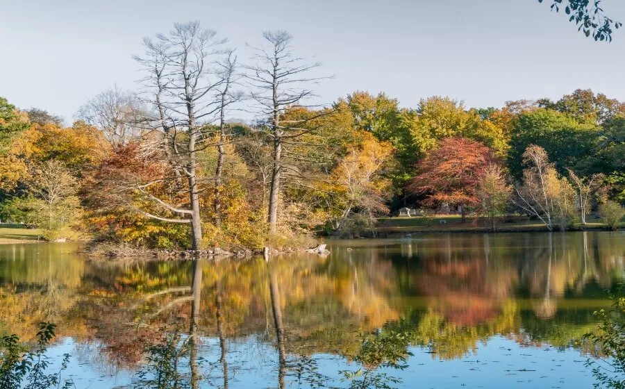Jamaica Plain
