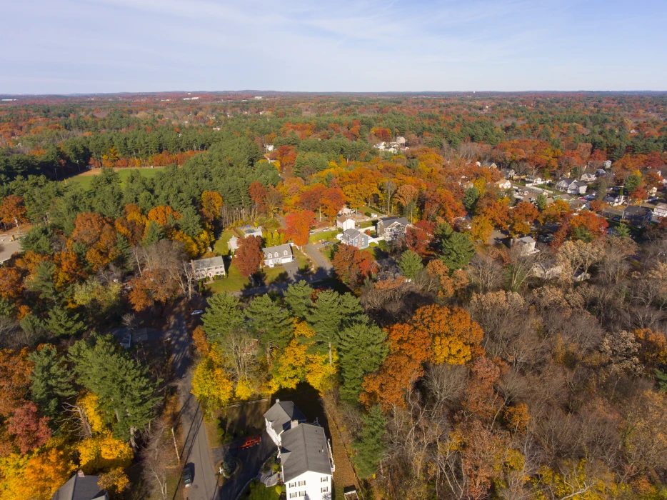 Suburban Homes