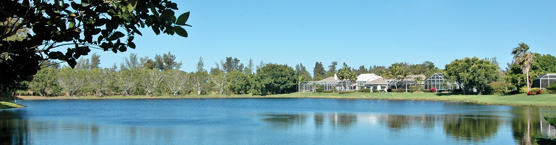 Neighborhood Photo