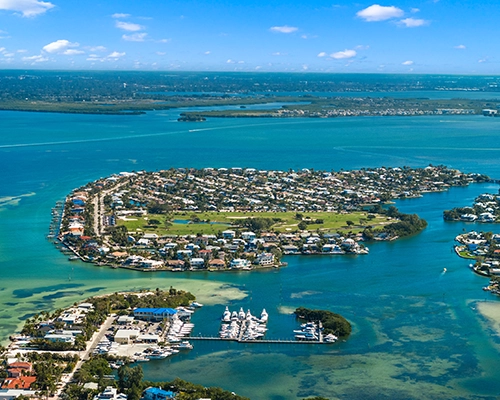 Community View