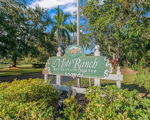 Community View