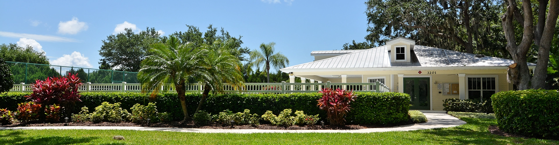 Neighborhood Photo