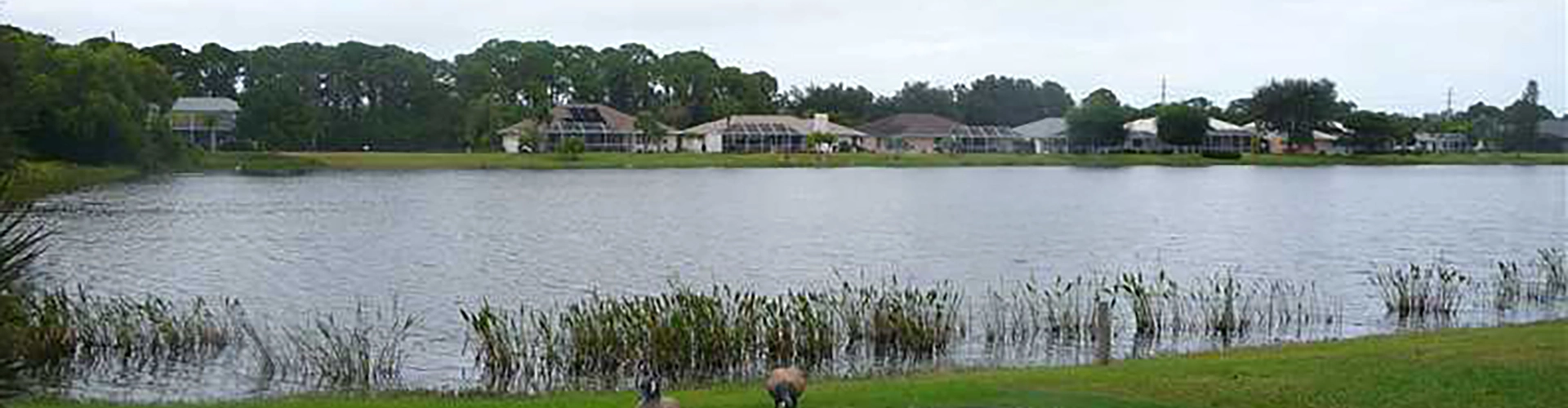 Neighborhood Photo