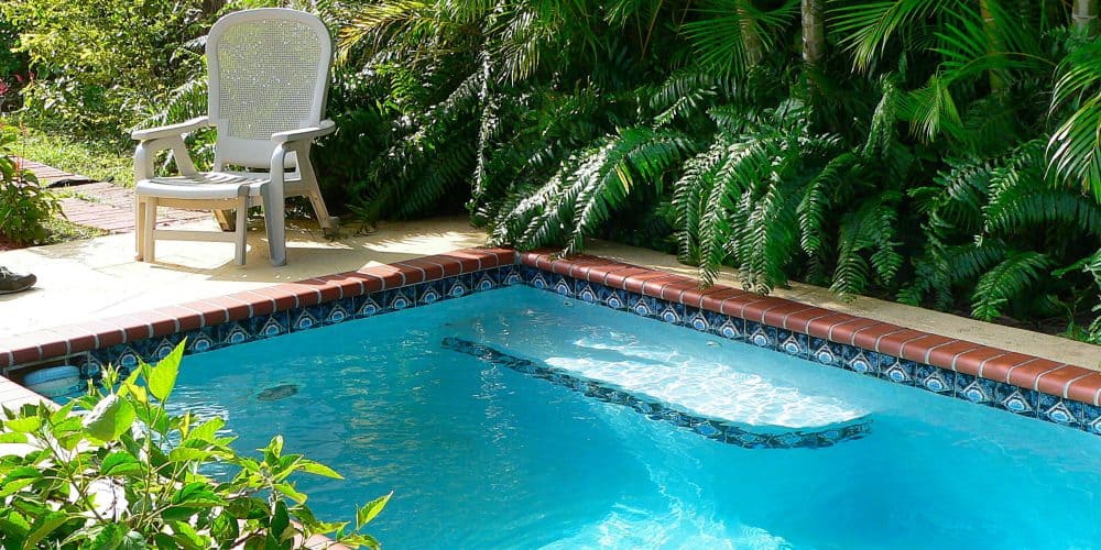 View of a small pool in a tropical setting. The long pool is surrounded by palms and other tropical plants.