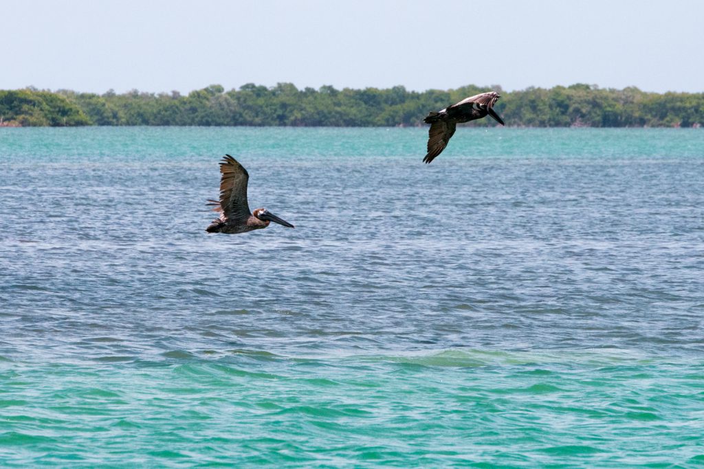 A scene from the intracoastal in Charlotte County