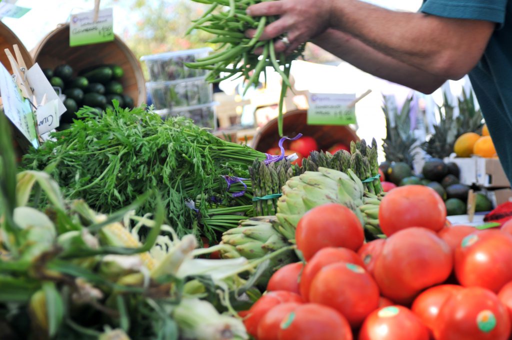 You'll discover a variety of farmer's markets along Florida's Gulf Coast.