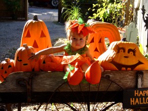 Photo Courtesy - Sarasota Children's Garden