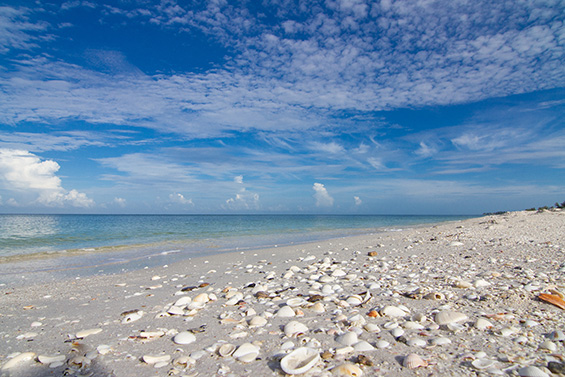 721-Casey-Key-Rd---45---A3993229_45