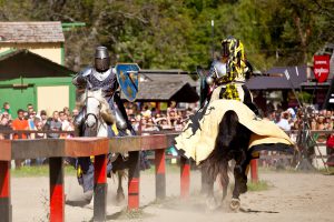 2 knights about to joust