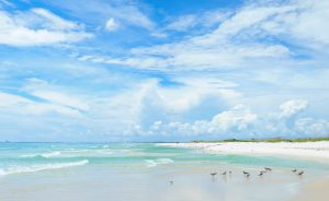 Big blue sky over sea green water and white sand beach