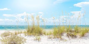 white sand with seagrass and blue water and sky behind