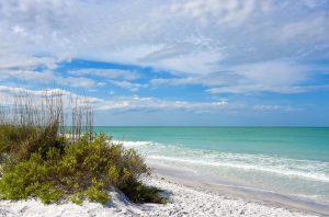 view of white sand beach and turquoise waters with seagrass in the foreground