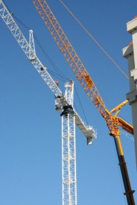 Crane-Sansara