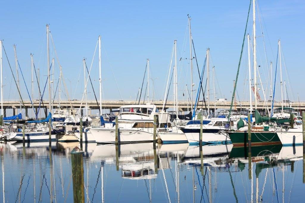 Twin Dolphin Marina
