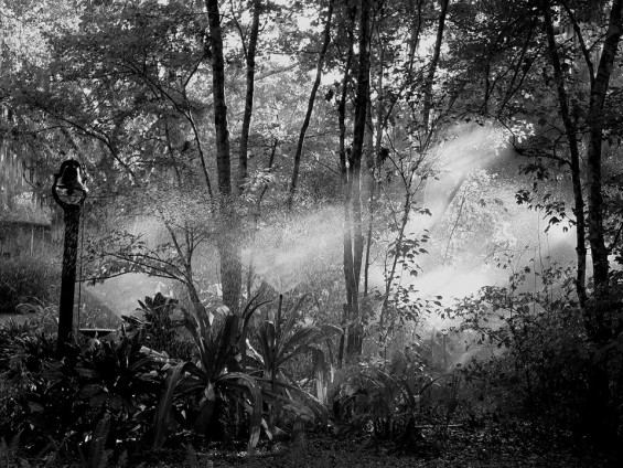 Photo of a summer shower by Charles Preston Rawls