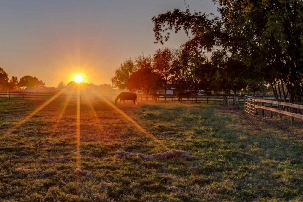 Sarasota Polo Club