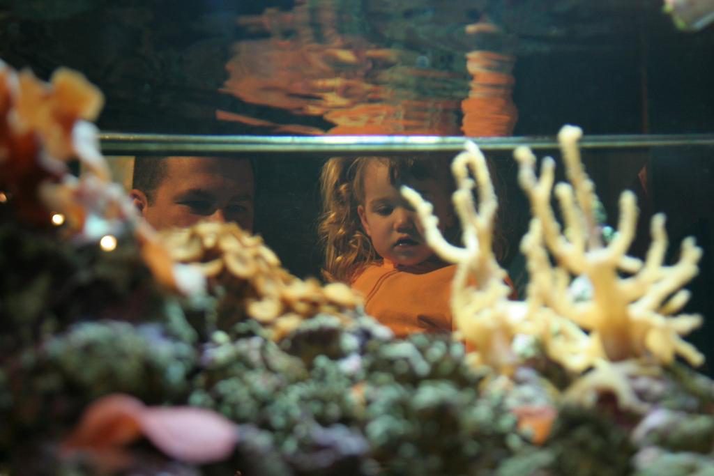 Mote Marine Aquarium