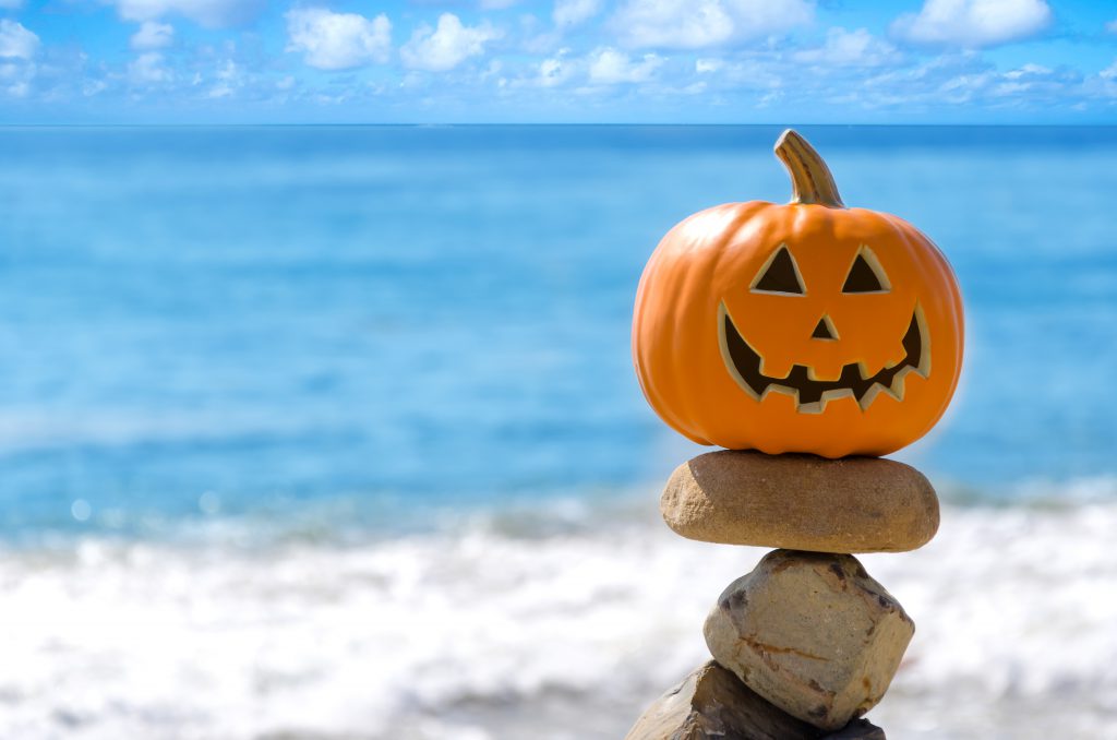 shutterstock_206272981