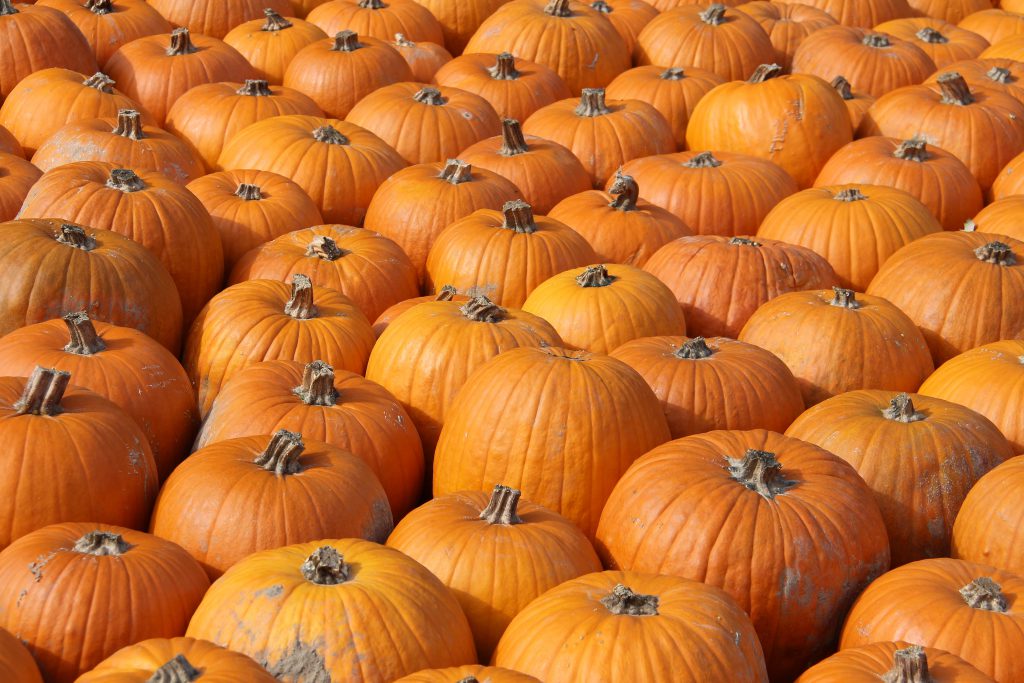shutterstock_320888795