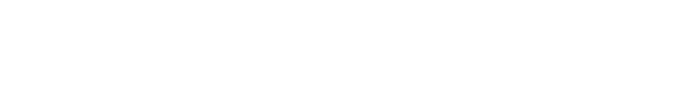 MSC Developer Services Logo