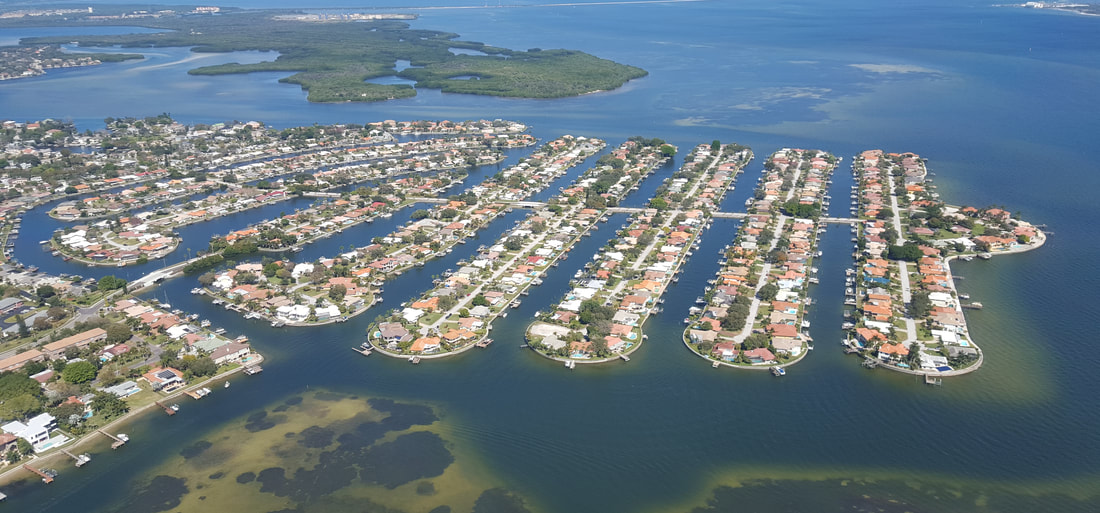 Community View