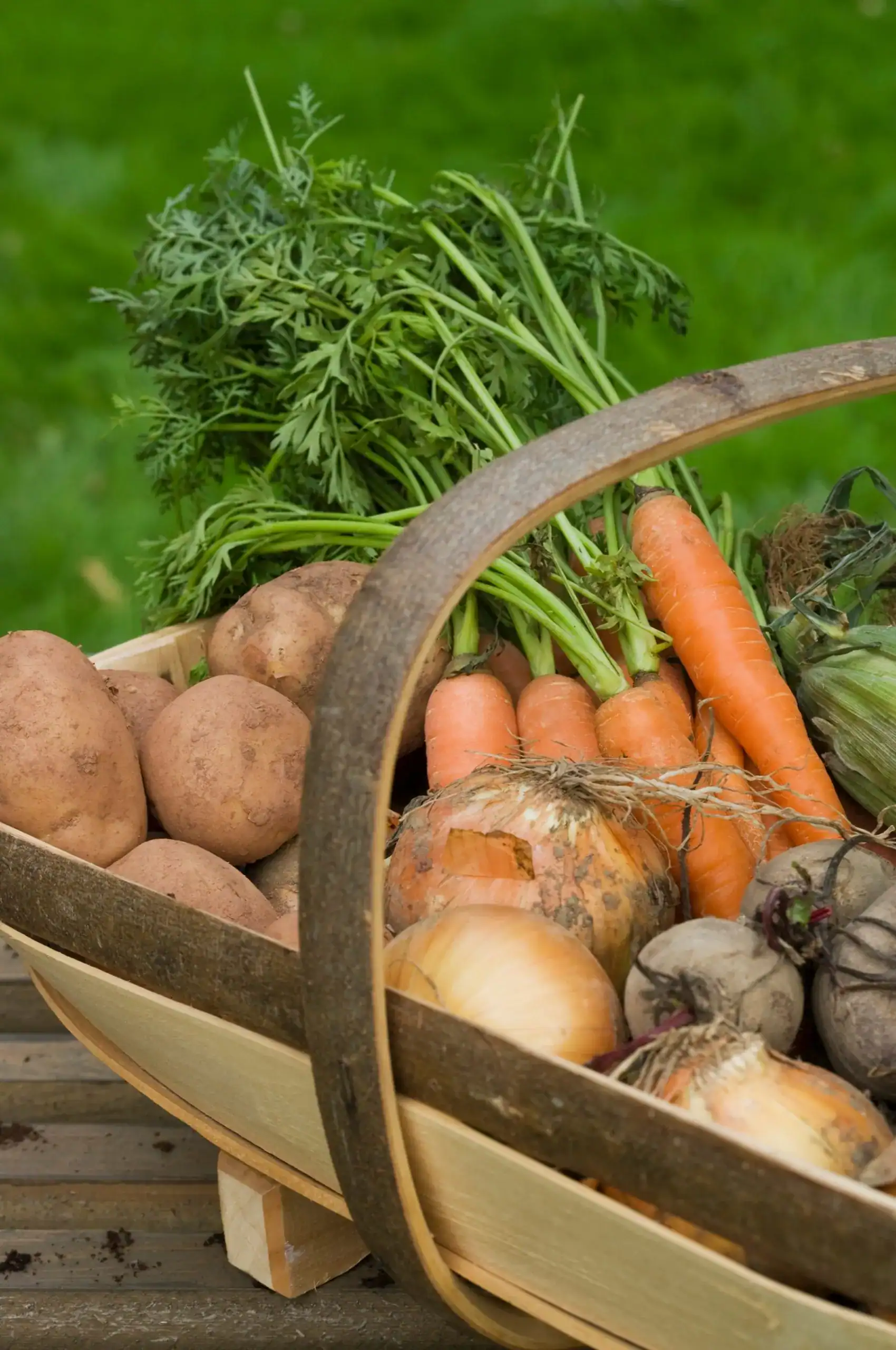 Top 5 Things To Do Near Highlands NC_The Green Market Cashiers NC