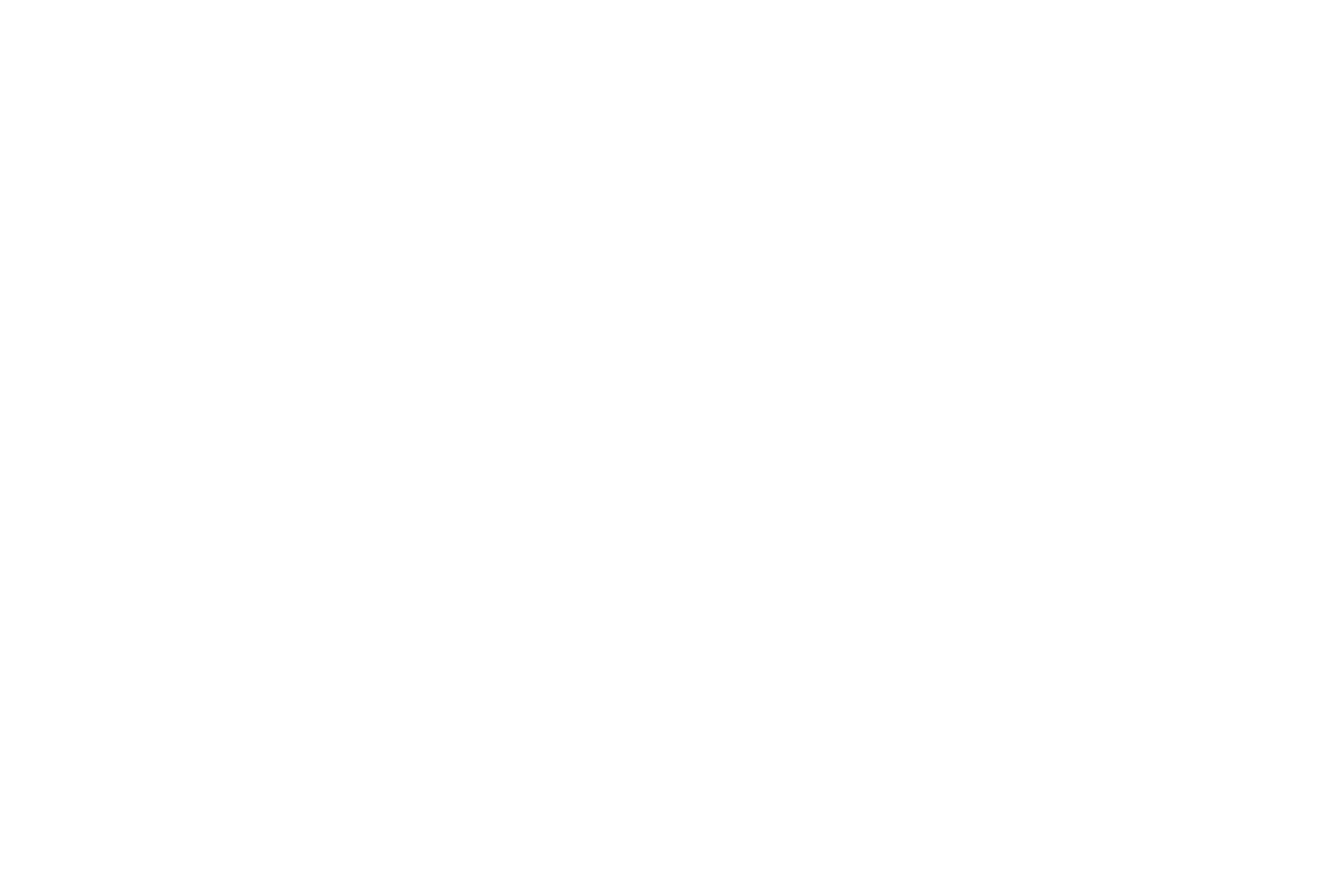Art Caccese logo