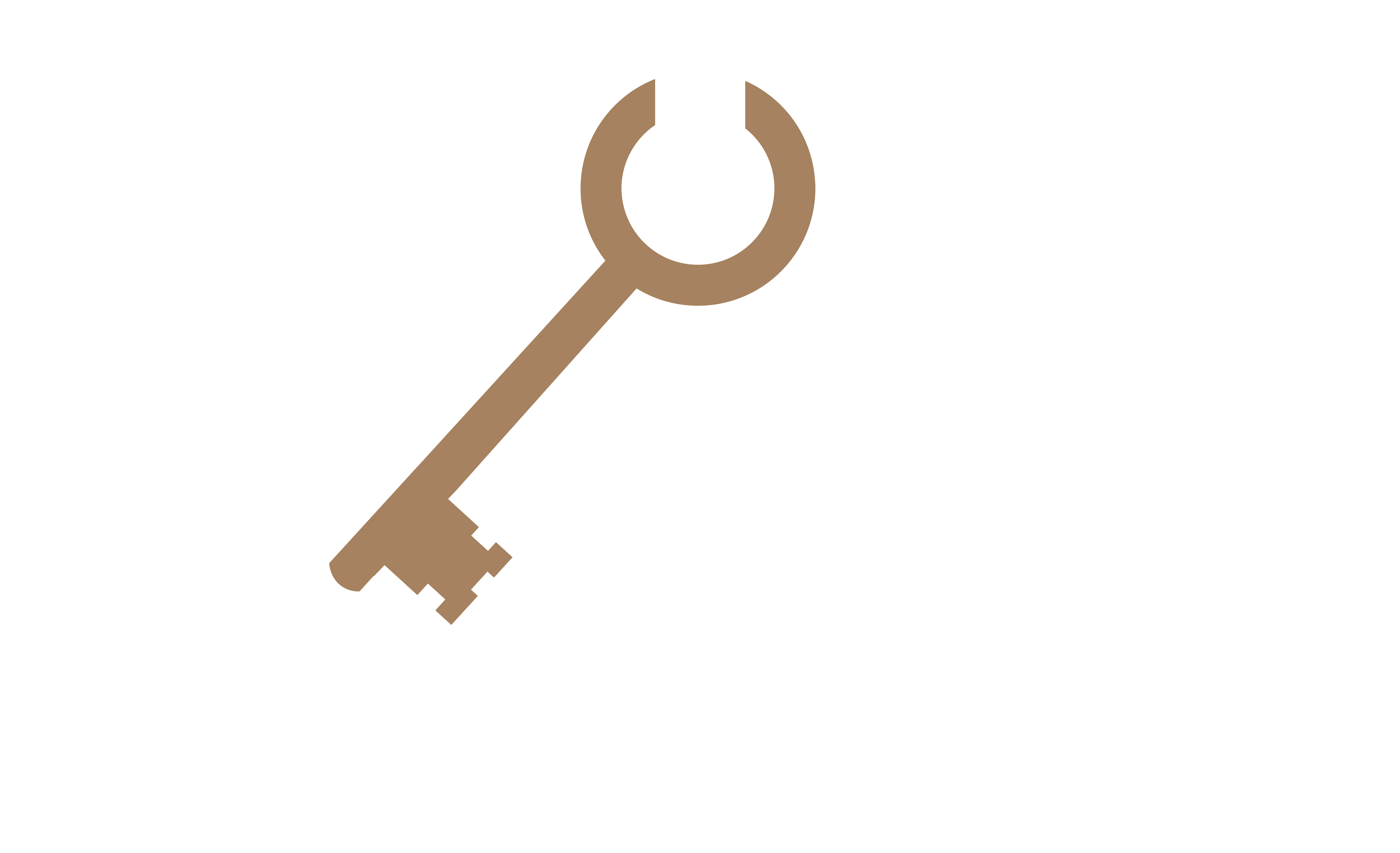 Lana Webb logo