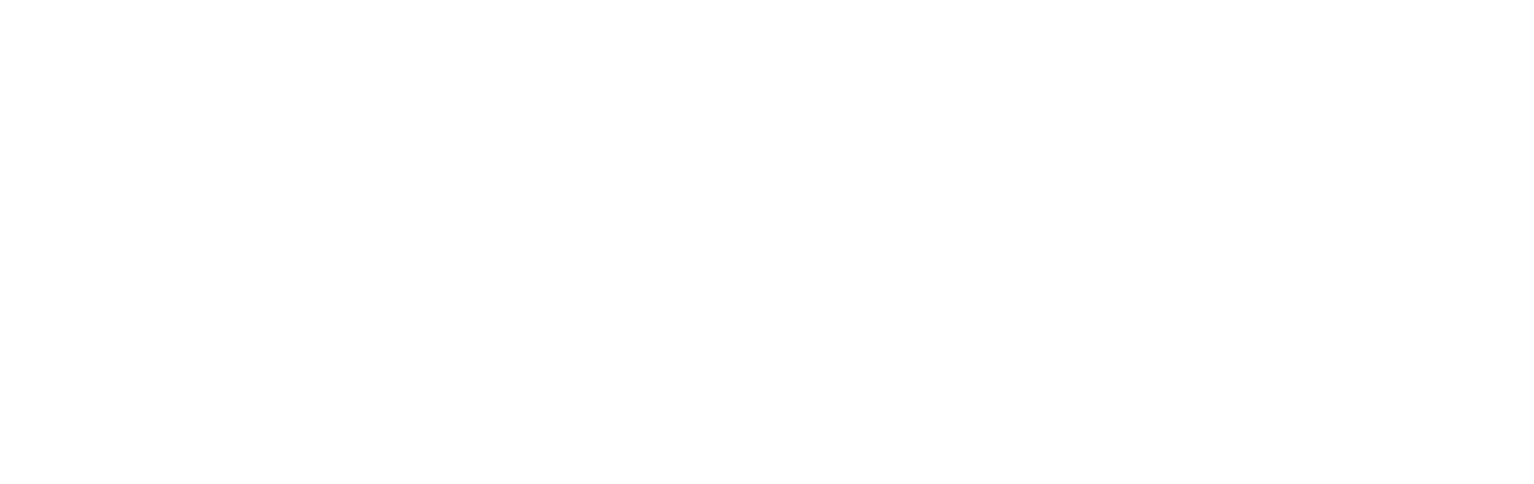 Susan Bagyura logo