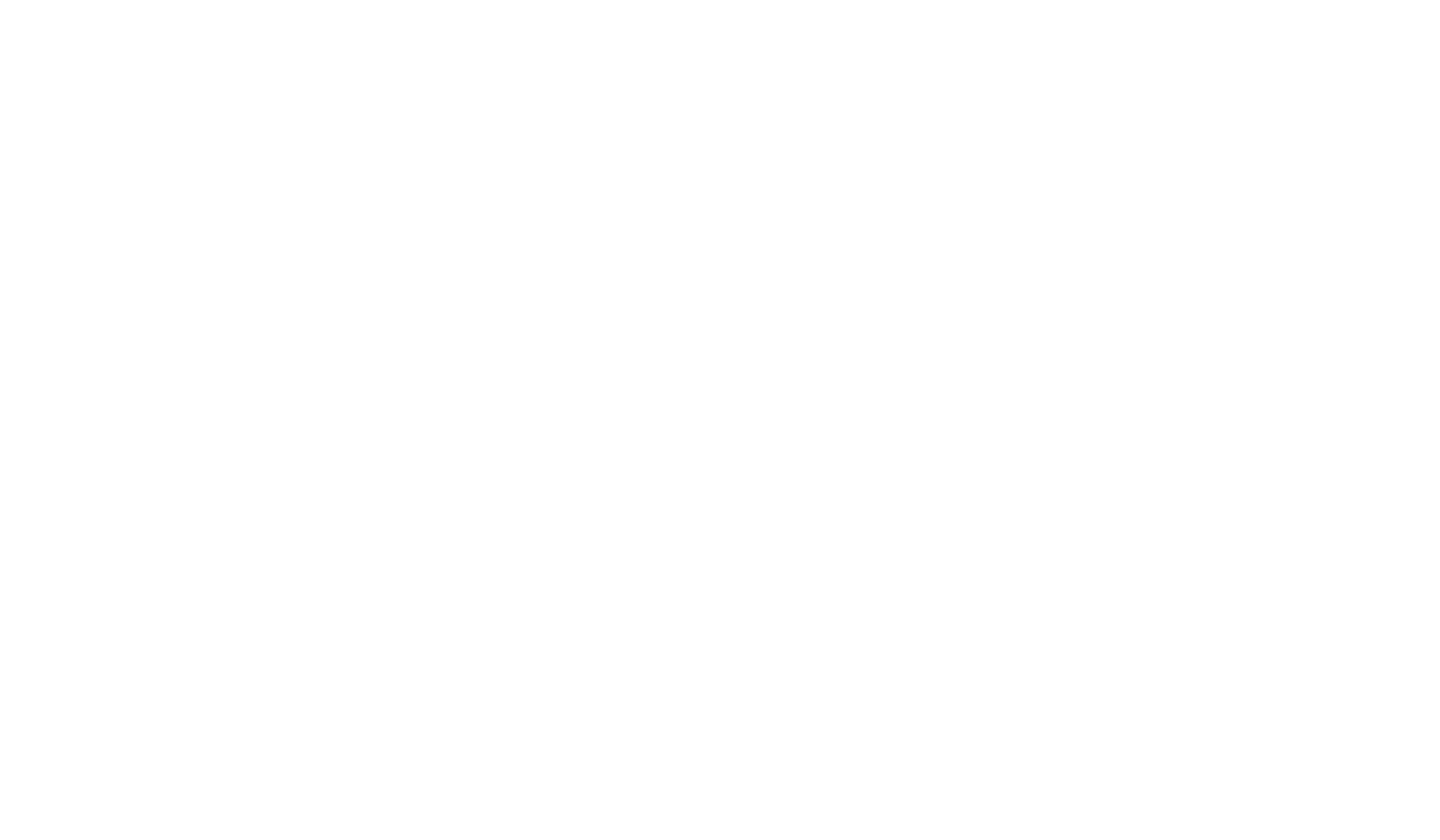 Mario Susi logo