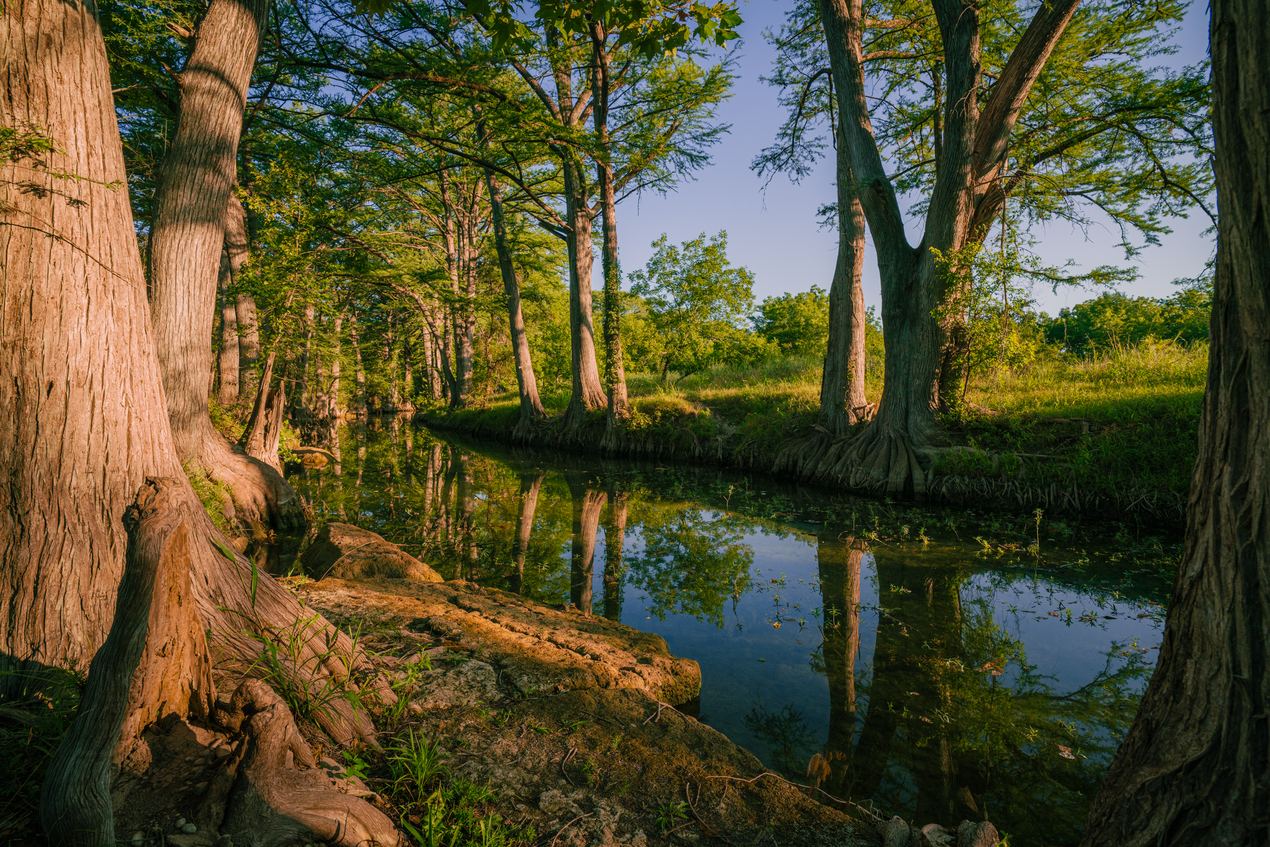 Southern Ranch Sales logo