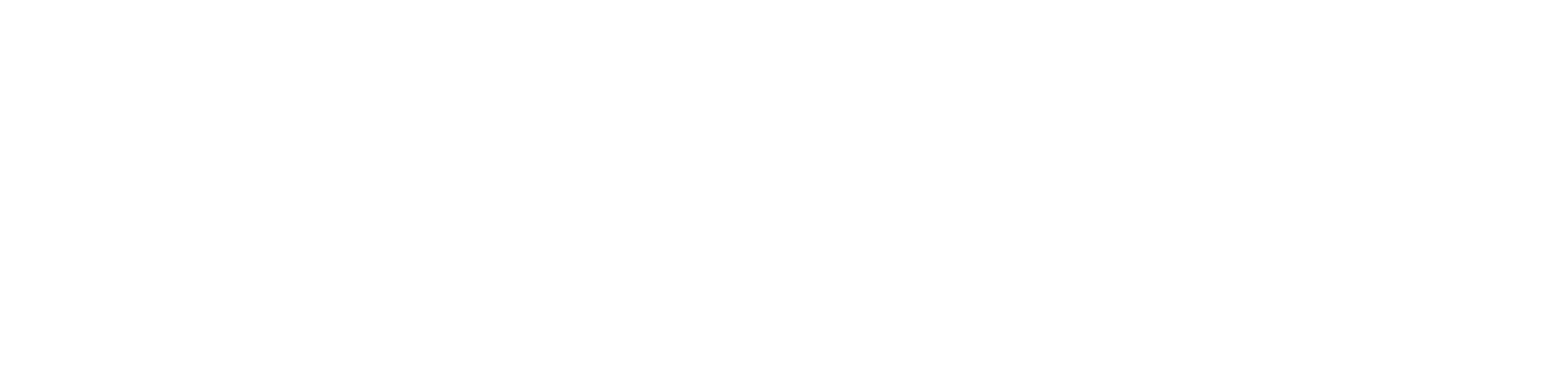 Naples Hansen Team logo