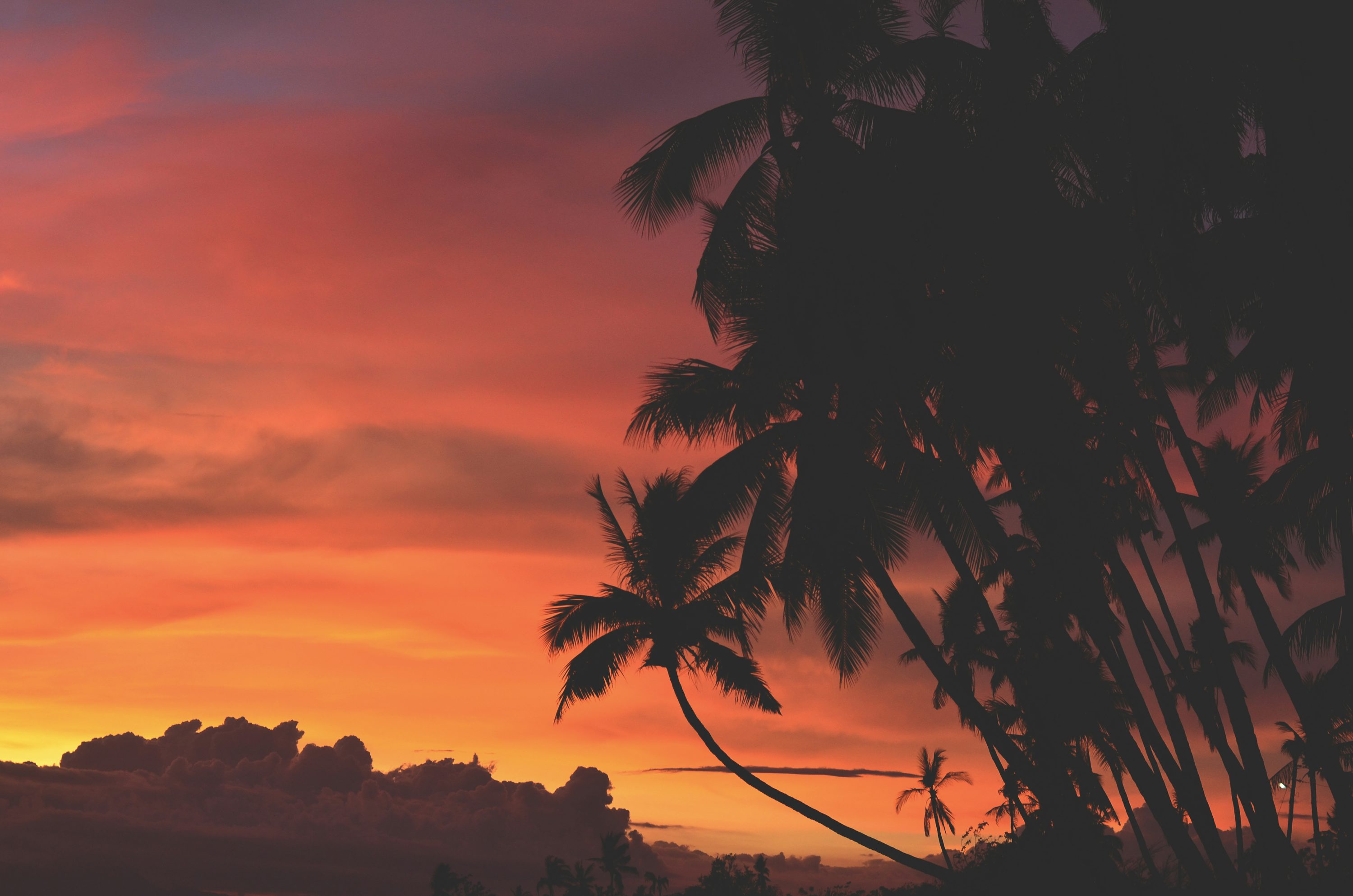 Ocean View