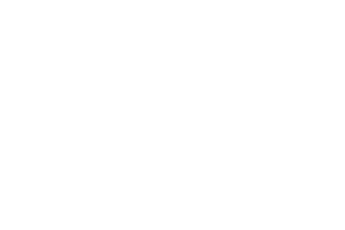 The Samuel Team logo
