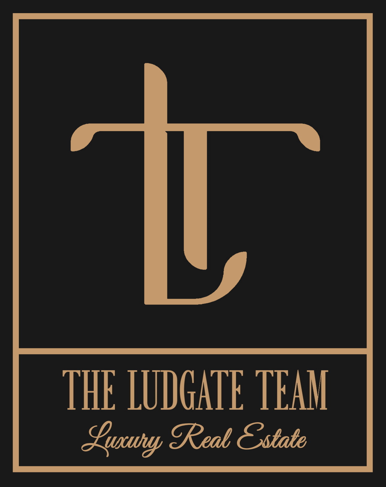 The Ludgate Team logo